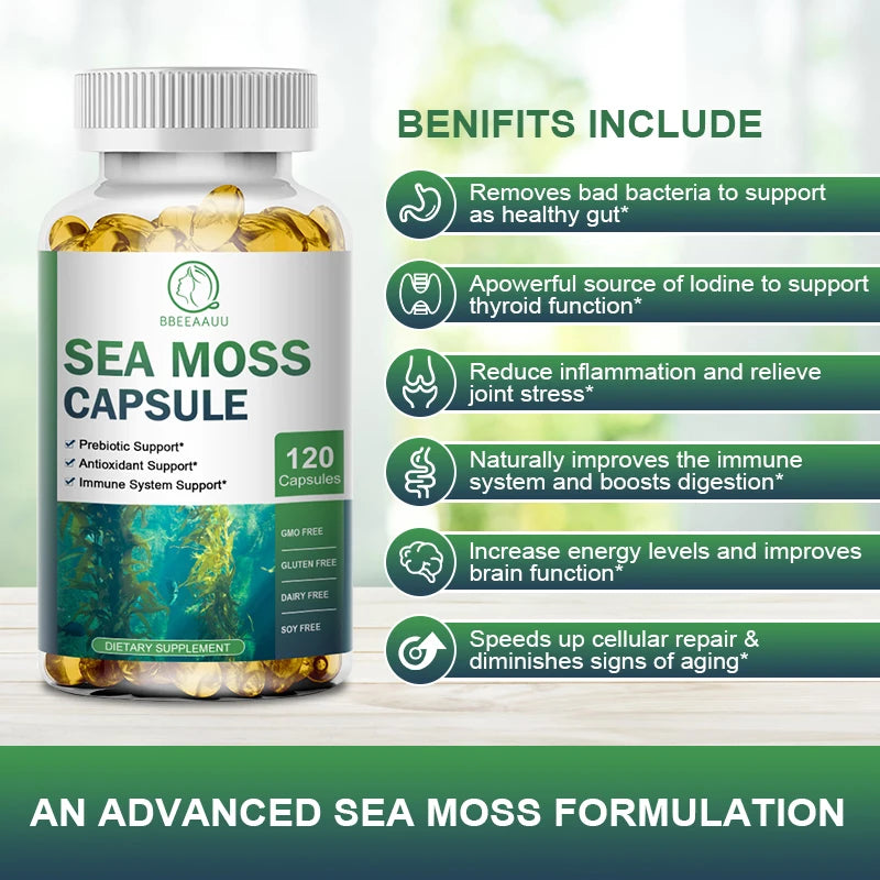 Sea Moss Capsules – Immunity, Thyroid & Detox